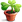 Pot and plant icon